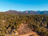 1558 Trail Ridge Road - Photo 5