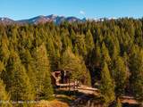 1558 Trail Ridge Road - Photo 6