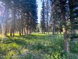 15635 Wagon Road - Photo 12