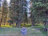 15635 Wagon Road - Photo 15