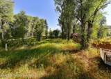 3820 Pony Drive - Photo 4