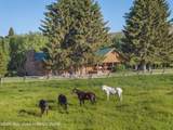 36 Stoney Point Road - Photo 3