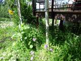 15180 Teton Wilderness Drive - Photo 25
