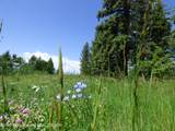 15180 Teton Wilderness Drive - Photo 44