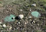 4201 Co Rd 126 - Photo 10