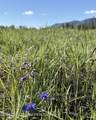 4201 Co Rd 126 - Photo 6