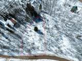  Snow Forest - Photo 3
