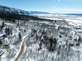  Snow Forest - Photo 4