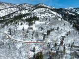  Snow Forest - Photo 7