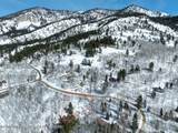  Snow Forest - Photo 8