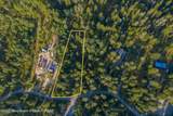 TBD Alpine Meadow Loop (14) - Photo 1