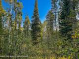TBD Alpine Meadow Loop (14) - Photo 2