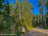 TBD Alpine Meadow Loop (14) - Photo 3