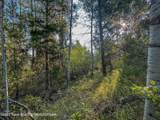 TBD Alpine Meadow Loop (14) - Photo 6