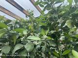 79 Auburn Forest Road - Photo 108