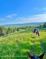 800 Dell Creek - Photo 45