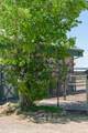 86 Hawk's Rest Rd - Photo 50