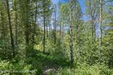  Lot 22 Trail Ridge Road - Photo 14