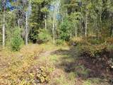  Lot 22 Trail Ridge Road - Photo 5