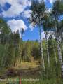  Lot 22 Trail Ridge Road - Photo 6