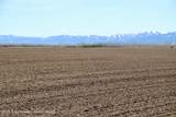 TBD Stateline Road - Photo 13