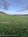 1.50 Acres Highway 89 - Photo 10