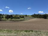 8849 West Ridge Road - Photo 3