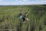 2435 Steelhead Drive - Photo 2