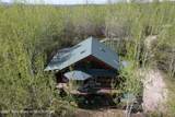 2435 Steelhead Drive - Photo 7