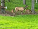 278 Dell Creek Road - Photo 54