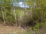 185 River Bench Rd - Photo 43