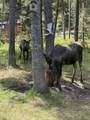 6600 Paintbrush Trail - Photo 25