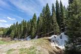 6600 Paintbrush Trail - Photo 3