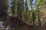 6600 Paintbrush Trail - Photo 8