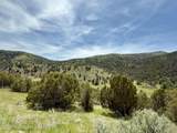  Fish Creek Road Road - Photo 12