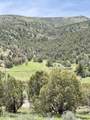  Fish Creek Road Road - Photo 9
