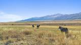 30236 Us Hwy 91 - Photo 15