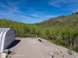 407 Freedom Ridge Road - Photo 16