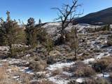 107 Soda Springs Drive - Photo 3
