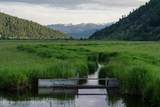  Spring Gulch Road - Photo 5