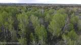TBD 40 AC Arcadia Road Road - Photo 10