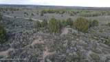 TBD 40 AC Arcadia Road Road - Photo 13
