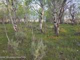 TBD 40 AC Arcadia Road Road - Photo 28
