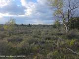 TBD 40 AC Arcadia Road Road - Photo 31