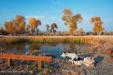338 Gas Hills Road - Photo 3
