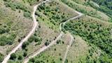 6 LOTS Shady Lane - Photo 20