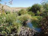 4099 Highway 32 - Photo 21