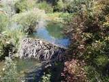 4099 Highway 32 - Photo 6