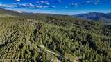 TBD Caribou Forest Cir - Photo 10