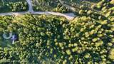 TBD Caribou Forest Cir - Photo 2